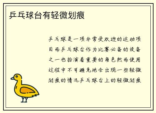 乒乓球台有轻微划痕