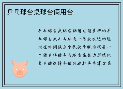 乒乓球台桌球台俩用台
